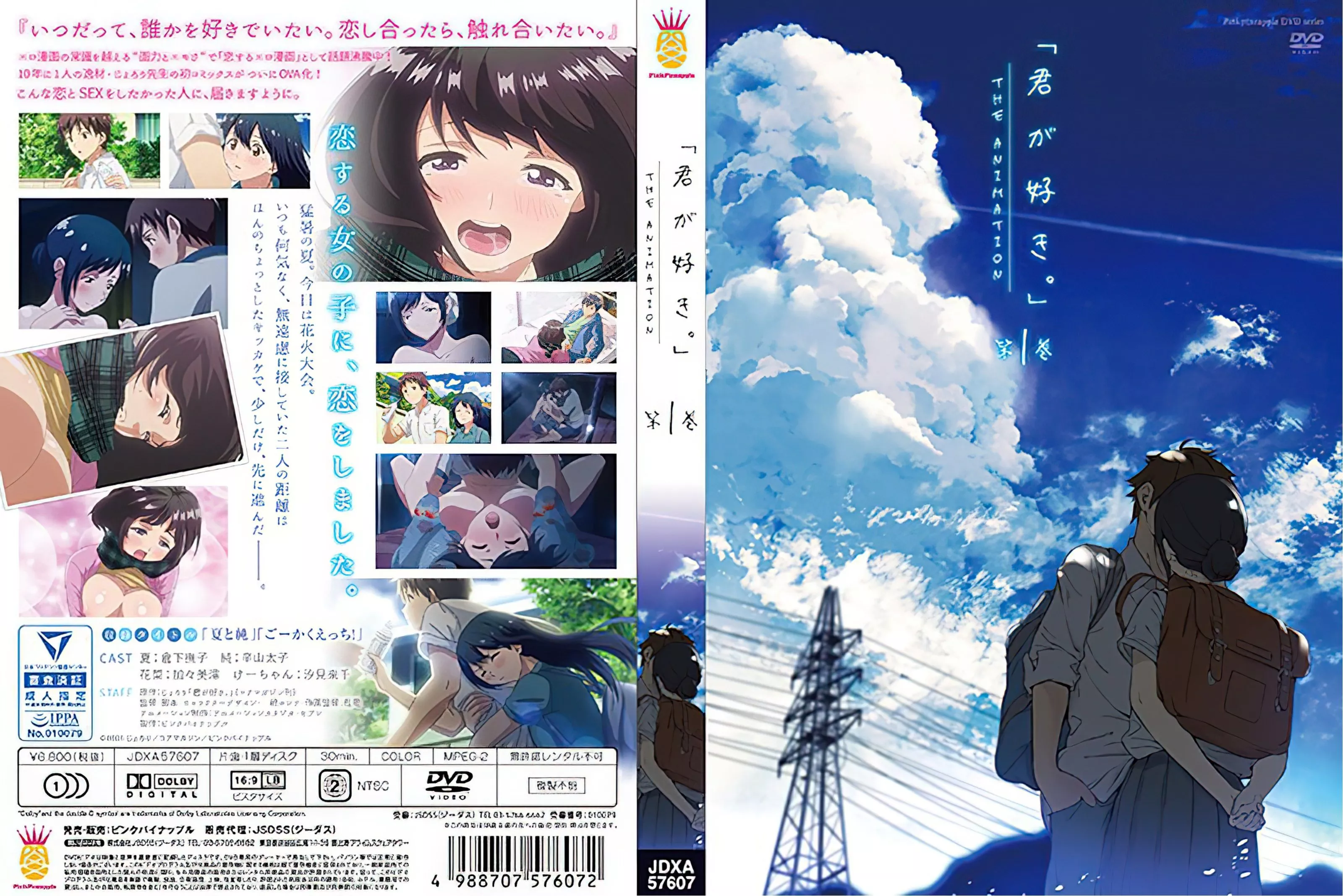 封面ピンクパイナップル君が好き。THE-ANIMATION-第1巻.webp